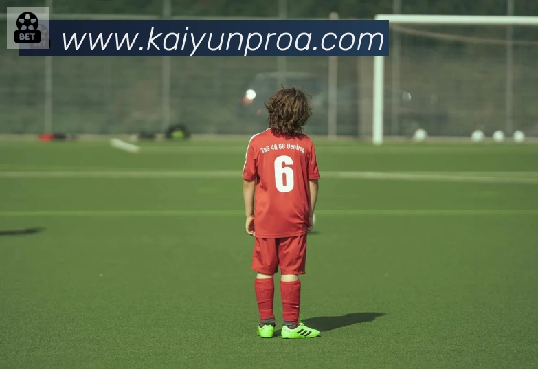 ky开云APP 高清赛事图