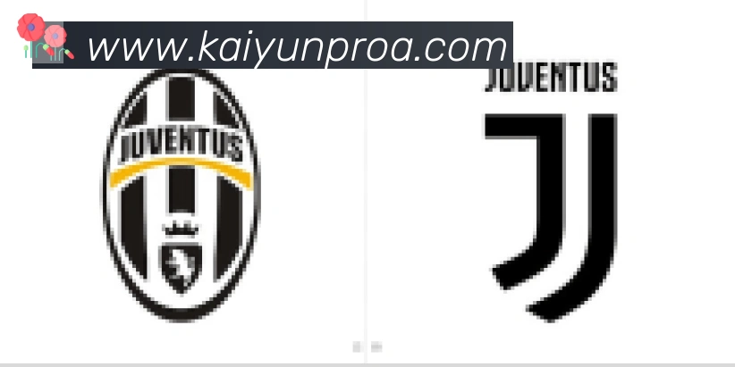 ky开云合作伙伴