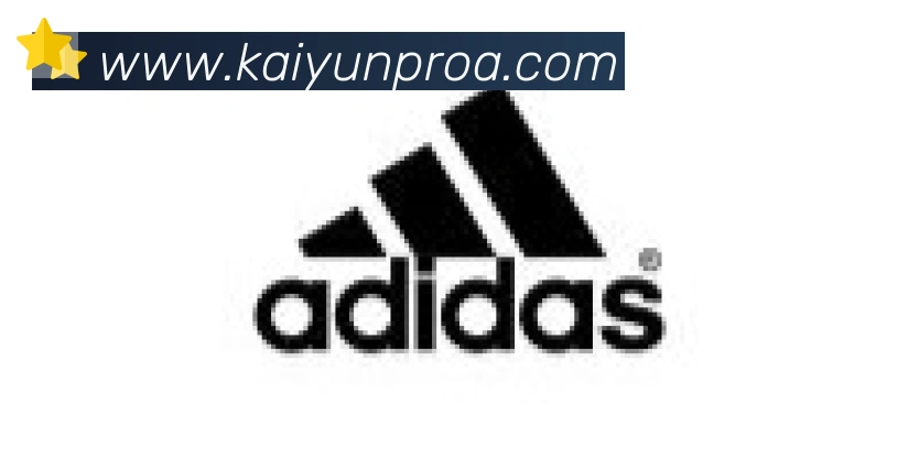 ky开云合作伙伴