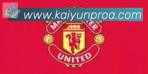 ky开云合作伙伴